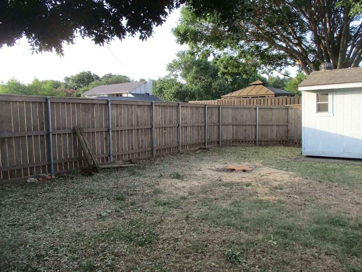 Cleared yard after professional tree removal in Stillwater